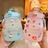 Kawaii Jumbo Stickers Style Bottle – Special Edition
