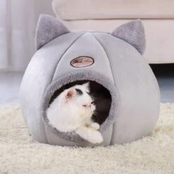 Kawaii Cat Bed Foldable House – Limited Edition