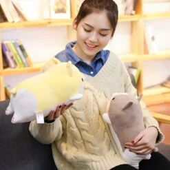 Kawaii Corgi Chubby Plush (30cm) 10 Kawaii Corgi Chubby Plush (30cm) -Kawaiitherapy Shop 31616 010193