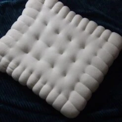 Kawaii Biscuit Cushion Pillow – Limited Edition -Kawaiitherapy Shop 39919 noll7a