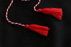 Kawaii Autumn Style Festive Fox Harajuku Hoodie -Kawaiitherapy Shop 43265 hvsxwe