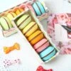 Kawaii Macaron Rubber Erasers