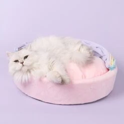 Kawaii Therapy Retractable Cat Play Nest -Kawaiitherapy Shop 50132 7y3vif