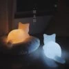 Kawaii Japanese Style Neko Cat Night Lamp – Special Edition