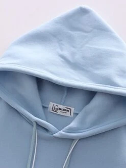 Kawaii Japanese Style Bear Pastel Hoodie – Special Edition -Kawaiitherapy Shop 63480 iicghd