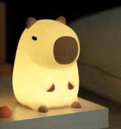 Kawaii Capybara USB Night Lamp – Limited Edition -Kawaiitherapy Shop IMG 7517