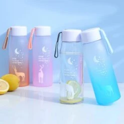 Kawaii Reindeer Starry Sky Bottle (500ml) -Kawaiitherapy Shop IMG 9841