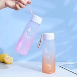 Kawaii Reindeer Starry Sky Bottle (500ml) -Kawaiitherapy Shop IMG 9843