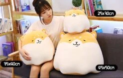 Kawaii Shiba Inu Pudding Plush (35cm) – Limited Edition -Kawaiitherapy Shop Shiba Size Chart